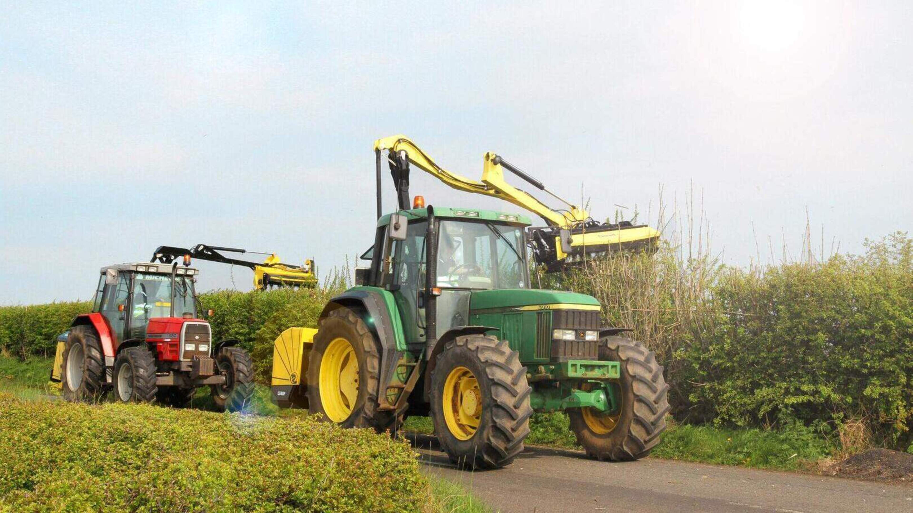 Wing mirrors worth €1,400 being broken by overhanging branches and boughs on N11 in north Wexford